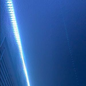 Meet your Posher, Mia